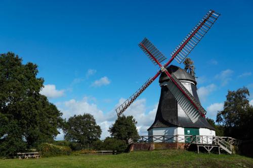 Marion-Rautert-Bild 07 Worpswede-2022-48